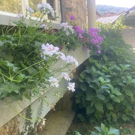 Confort Proche D Ax 3 Domaines