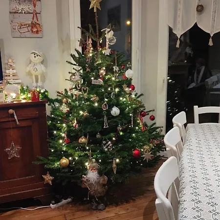 Confort Proche D Ax 3 Domaines * Vebre