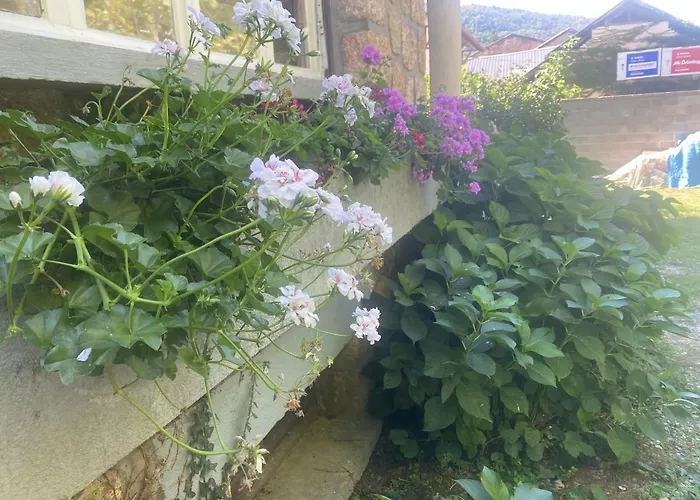 Confort Proche D Ax 3 Domaines